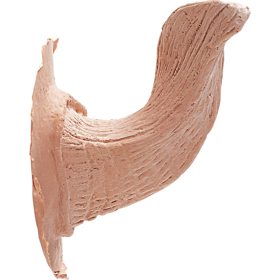 Satyr1