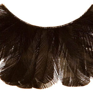 Lashes#55